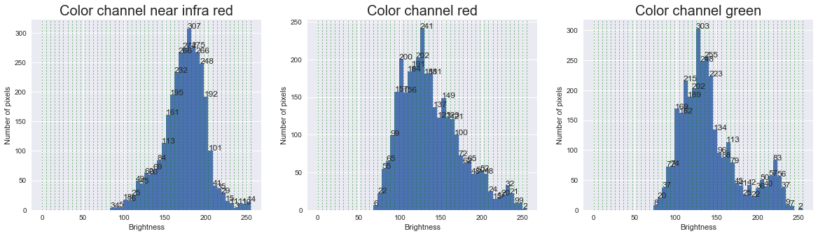 histogram features